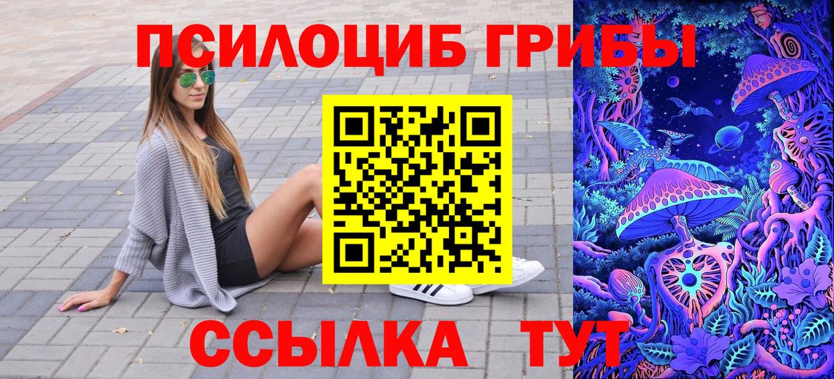 купить закладку  Вход с VPN  Каспийск  Галлюциногенные грибы Cubensis 